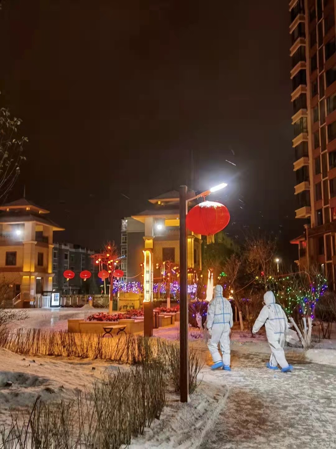 1645181712476057036.jpg 1645181712476057036.jpg