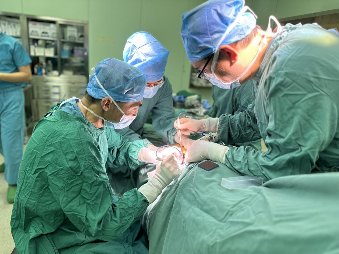 1692180474402058945.png 1692180474402058945.png