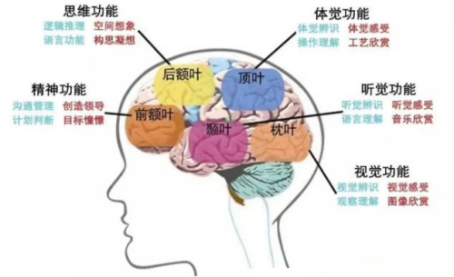 1697073452482046145.jpg