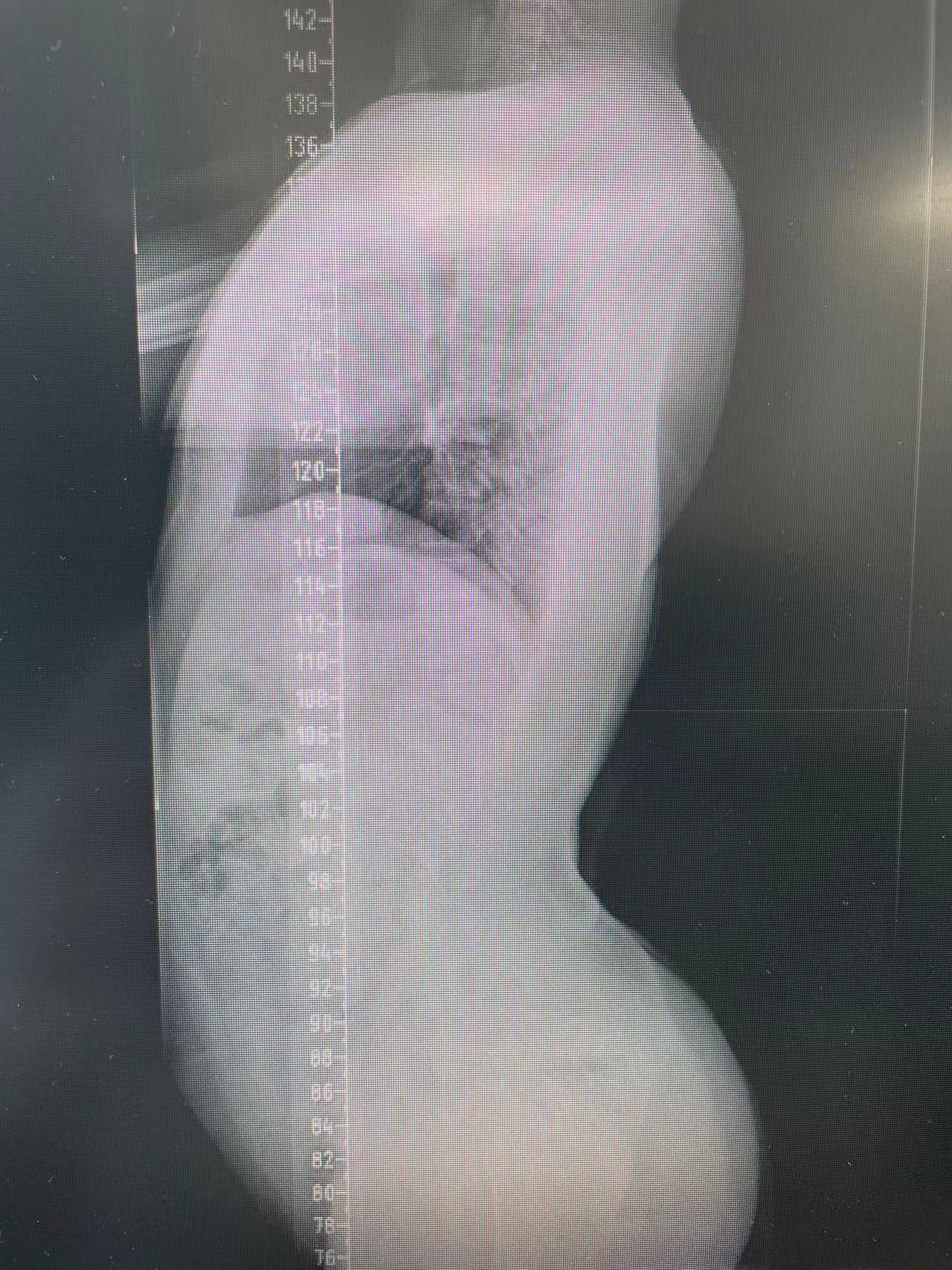 1698741555448063614.jpg 1698741555448063614.jpg