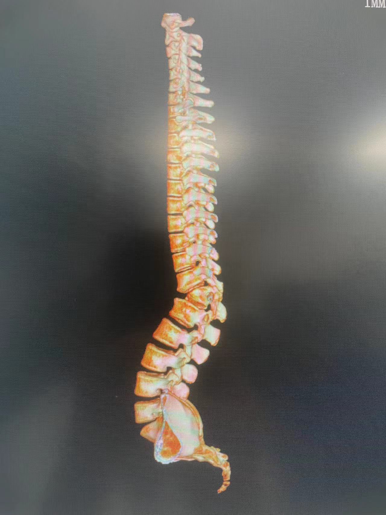 1698741555588092682.jpg 1698741555588092682.jpg