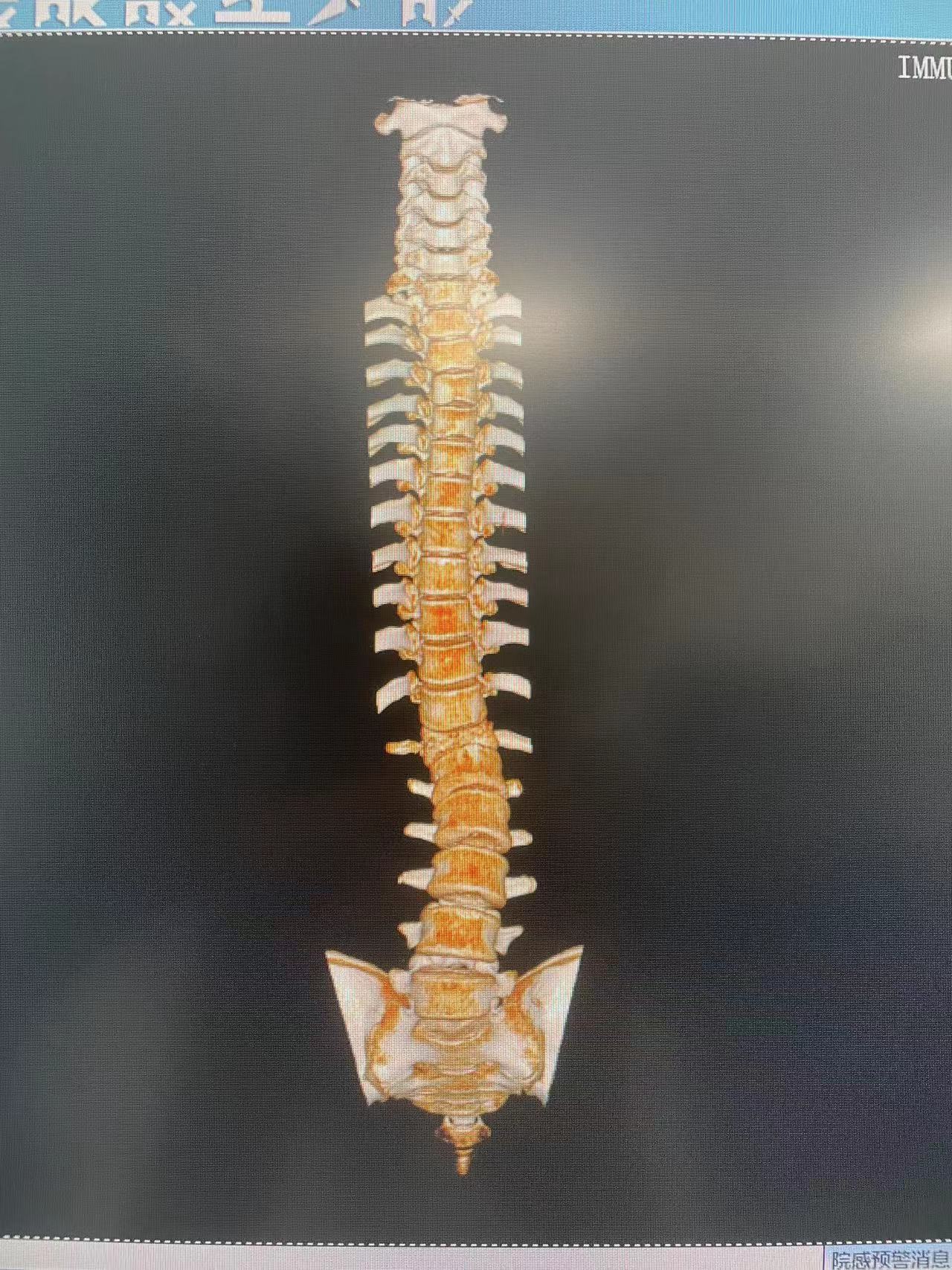 1698741555753077534.jpg 1698741555753077534.jpg