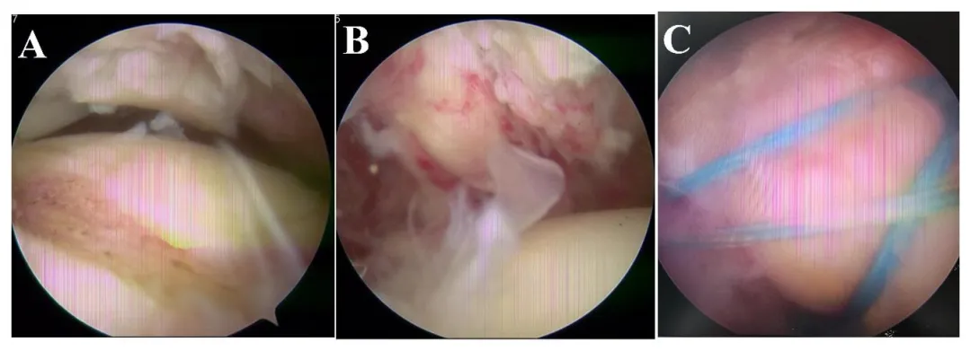 1724902616578062462.png 57795368-25f2-43c1-9c14-5bfeadb644a8.png